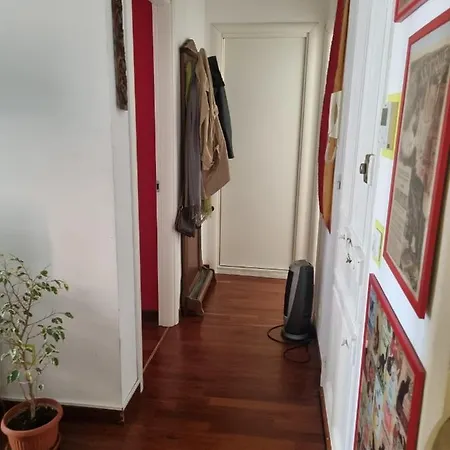 Milo's House